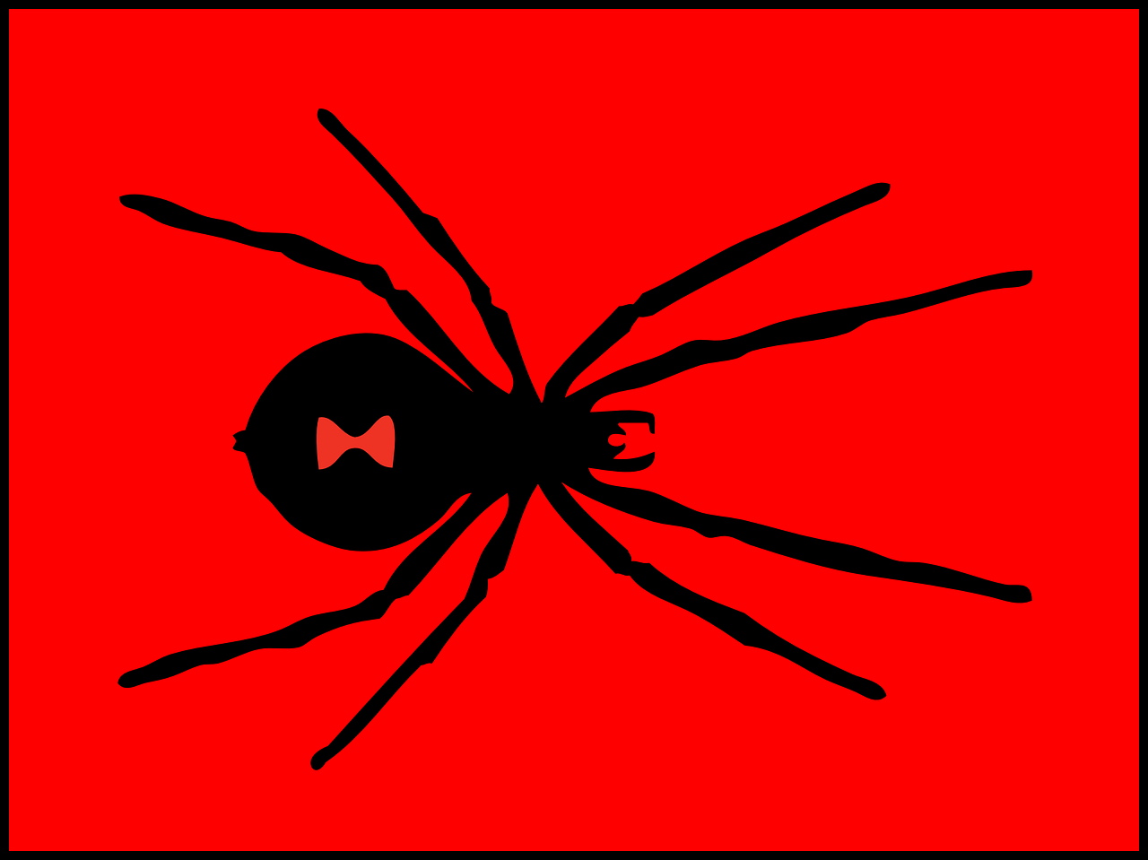 صور لـ سام حشرة سام أحمر عنكبوت