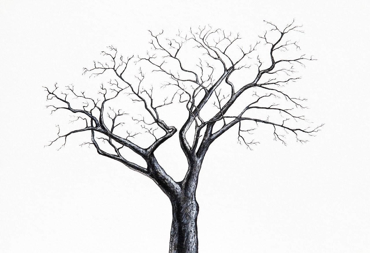Изогнутое дерево черно белый рисунок