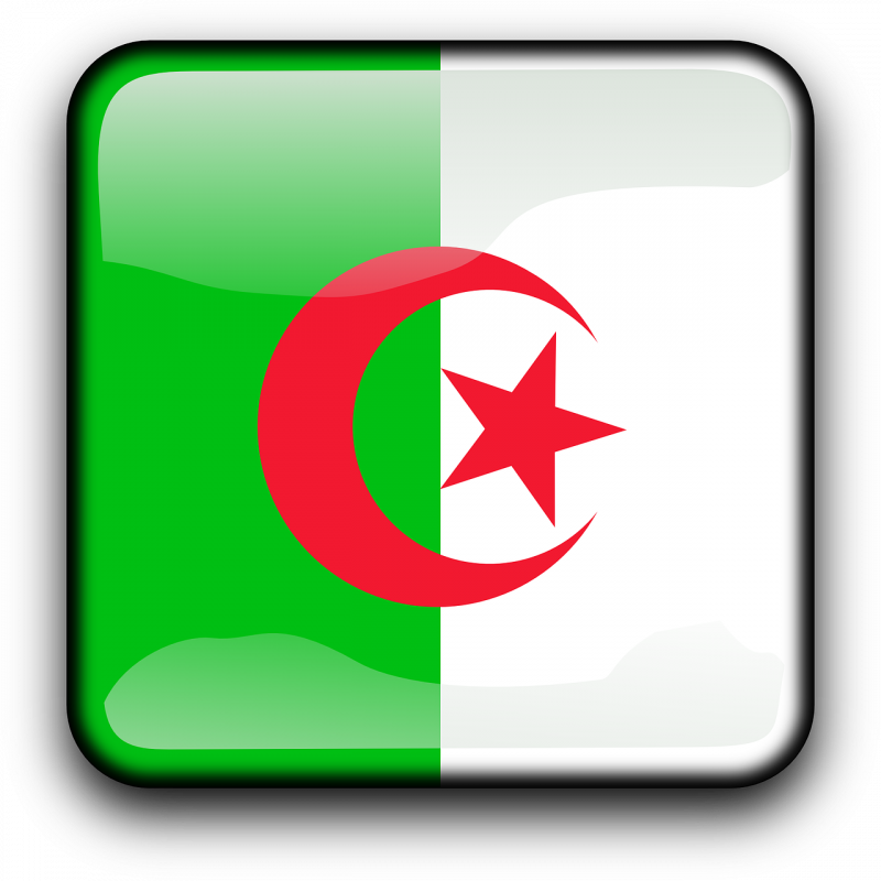 الجزائر علم Flag of