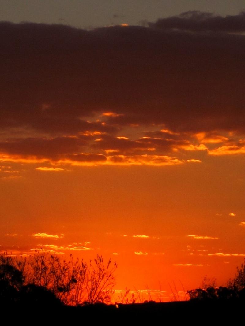 صور لـ سماء مشرق غروب الشمس توهج البرتقالي سحاب